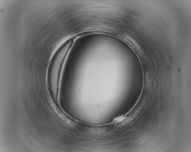 X0000086880788200704231102