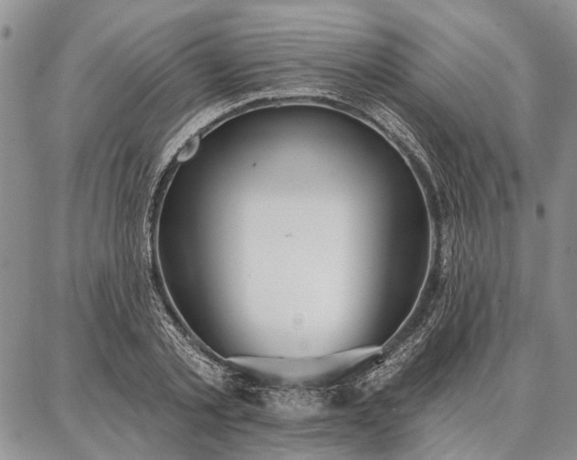 X0000086880789200704231102