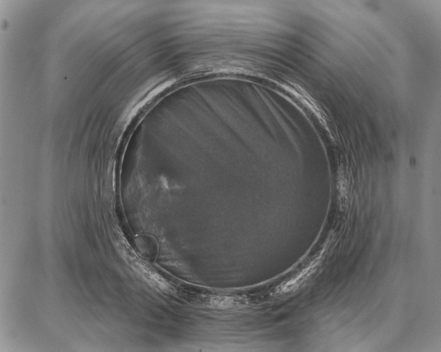 X0000086880790200704231102