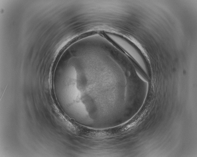 X0000086880791200704231102