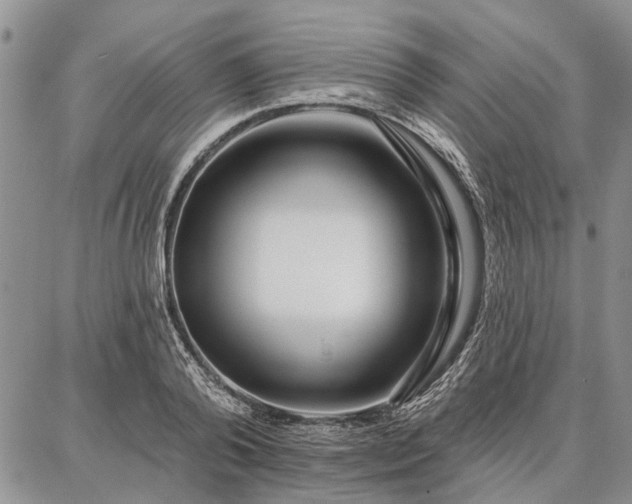 X0000086880792200704231102