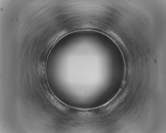 X0000086880793200704231102