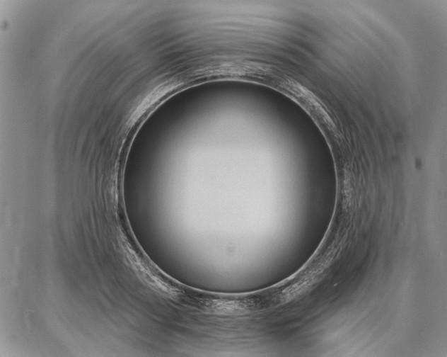 X0000086880794200704231101