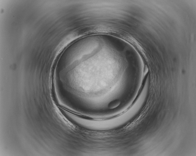 X0000086880795200704231101