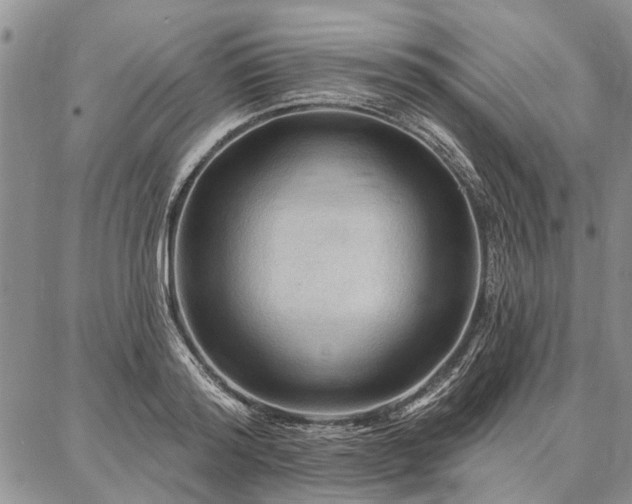 X0000086880796200704231101