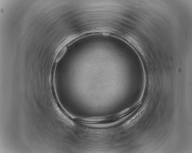 X0000086880797200704231101