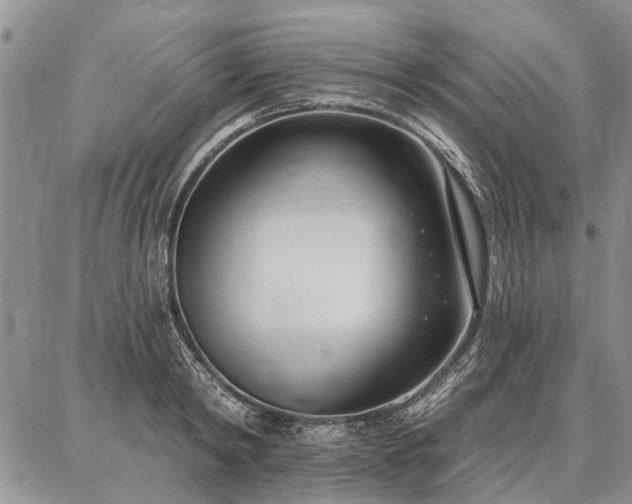 X0000086880798200704231101