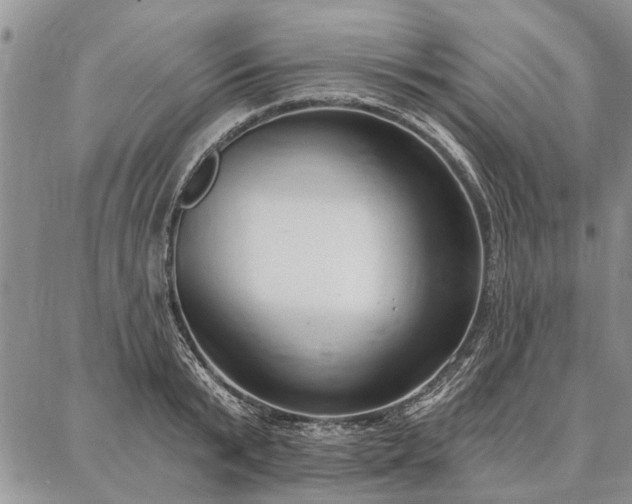 X0000086880799200704231101