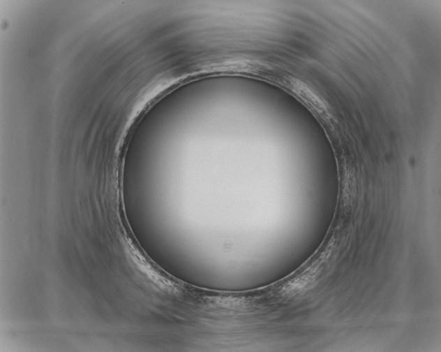 X0000086880800200704231101