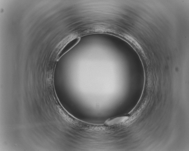 X0000086880801200704231101