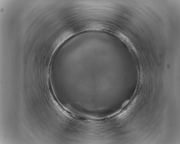 X0000086880802200704231101