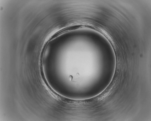 X0000086880803200704231101