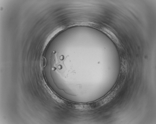 X0000086880804200704231101