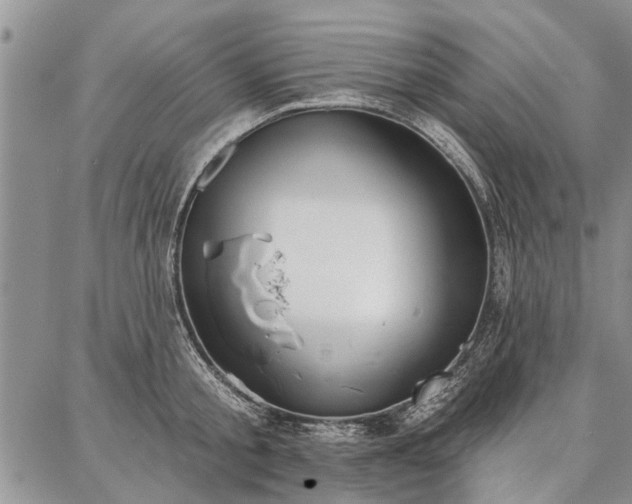 X0000086880805200704231101