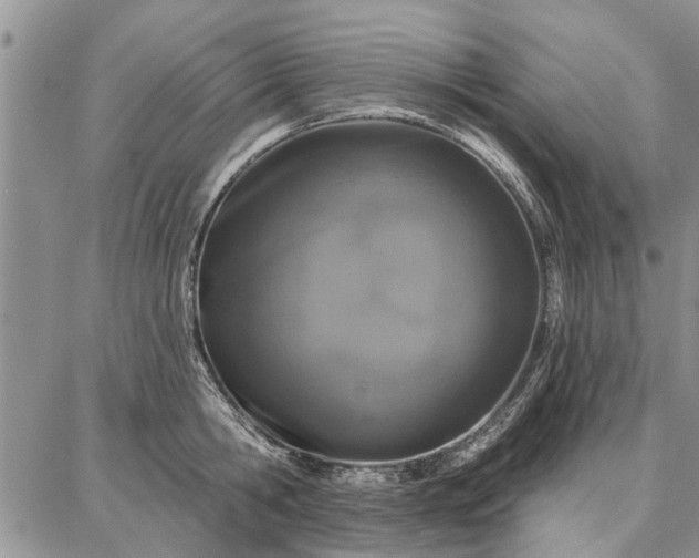 X0000086880806200704231101