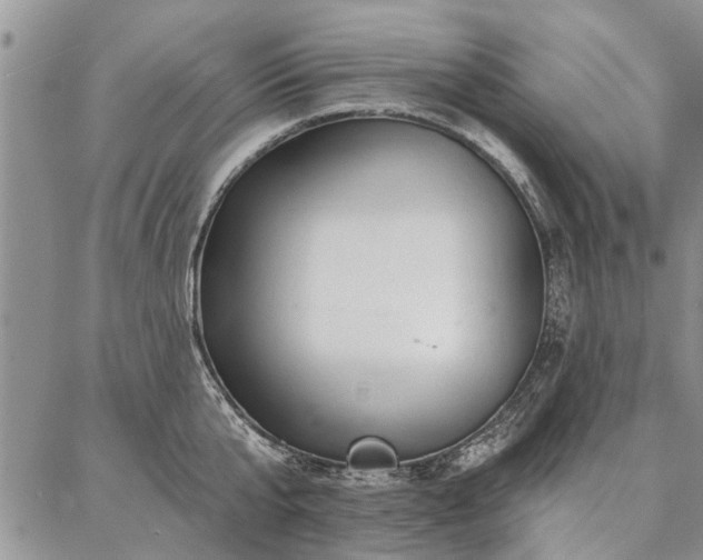 X0000086880807200704231101