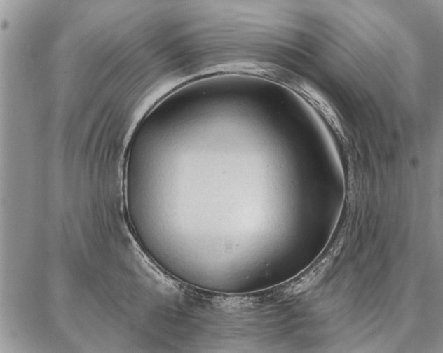 X0000086880808200704231101