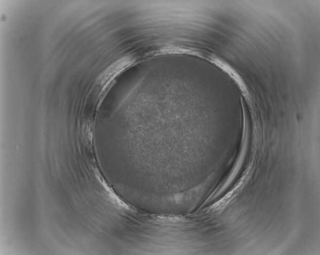 X0000086880809200704231101