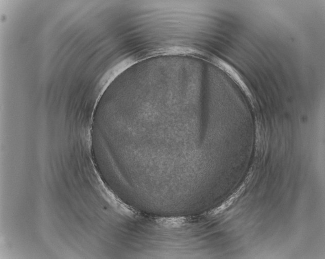 X0000086880810200704231101