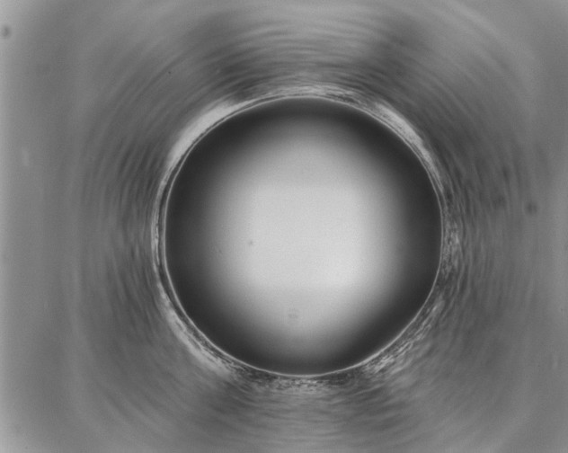 X0000086880811200704231101