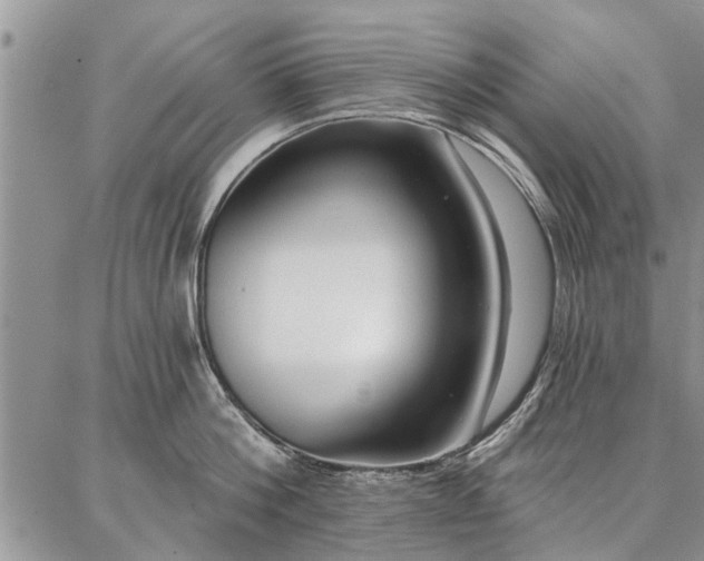 X0000086880812200704231101