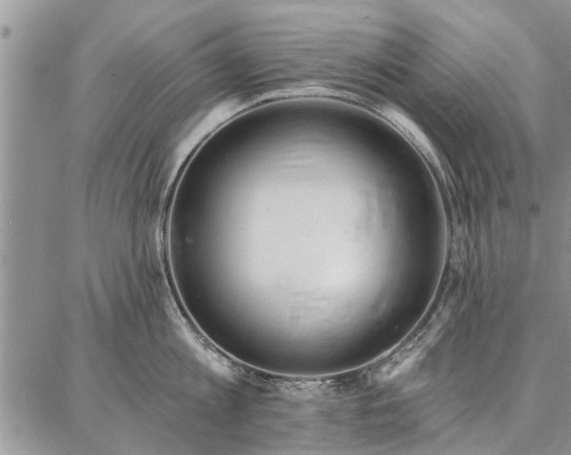 X0000086880813200704231101