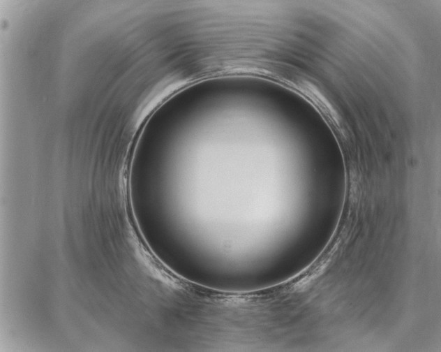 X0000086880814200704231101