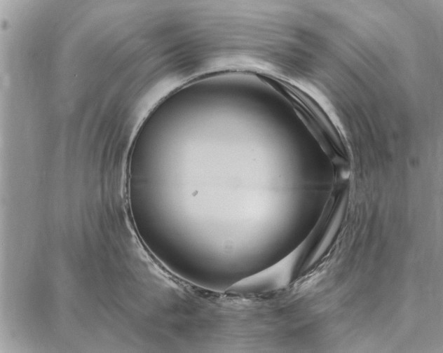 X0000086880815200704231101