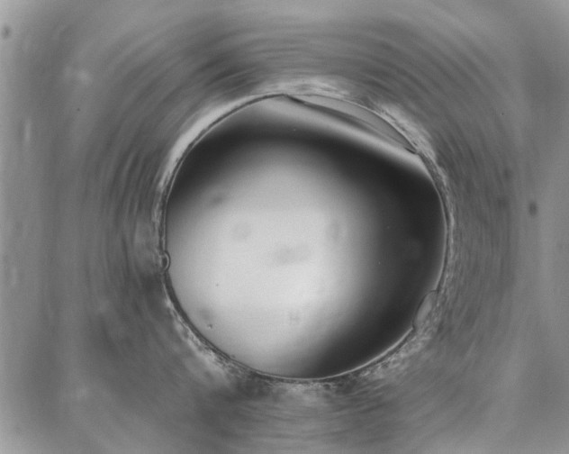 X0000086880816200704231101