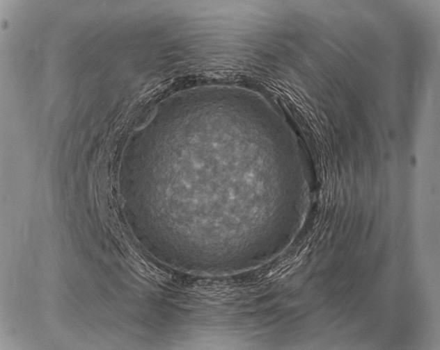 X0000086880817200704231100