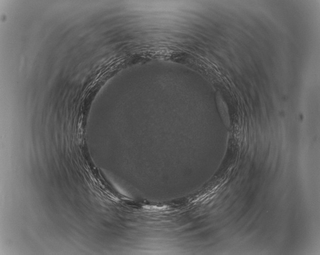 X0000086880818200704231100