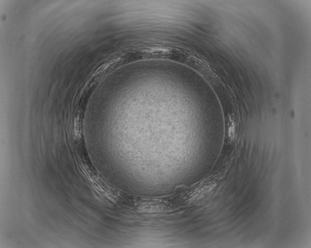 X0000086880819200704231100