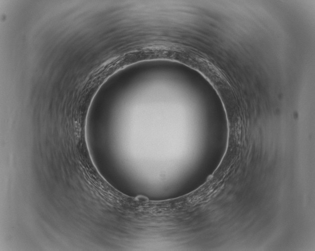 X0000086880821200704231100