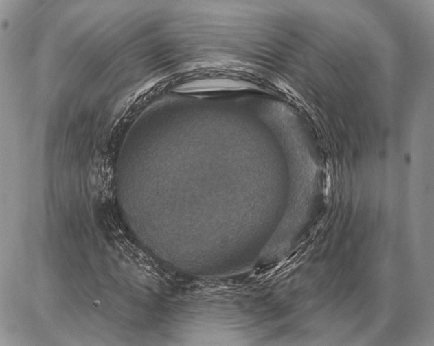 X0000086880822200704231100