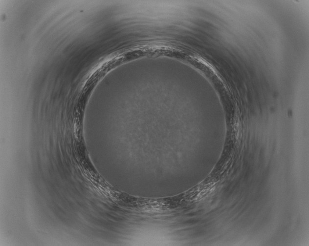 X0000086880823200704231100