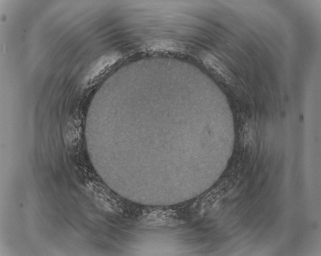 X0000086880824200704231100