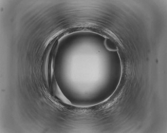 X0000086880826200704231101