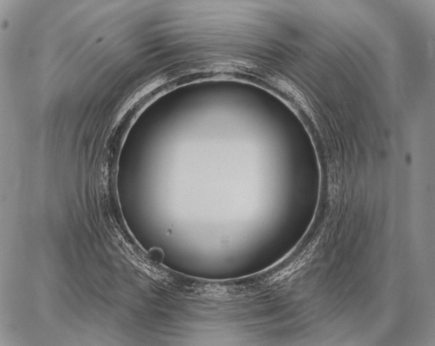 X0000086880827200704231101