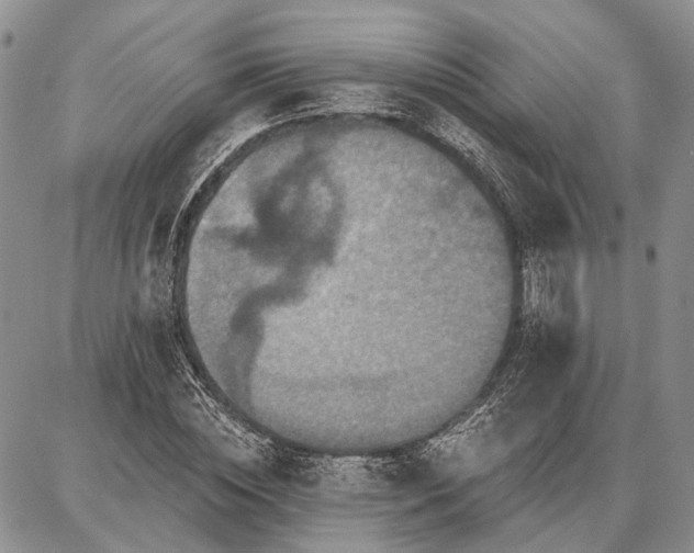 X0000086880828200704231101