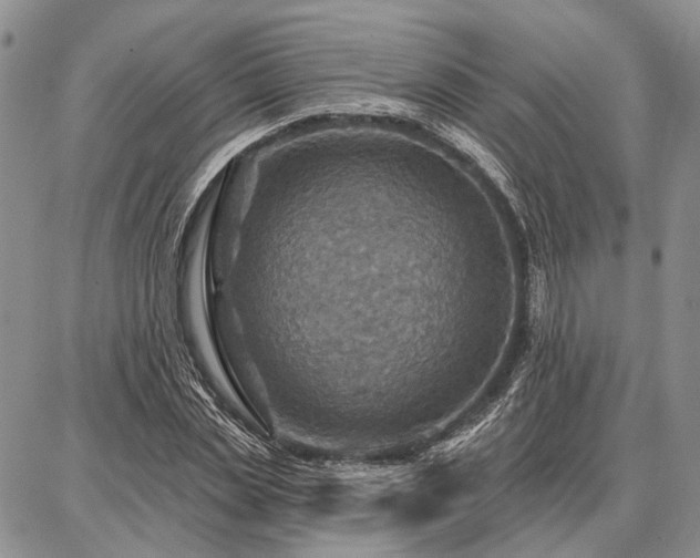 X0000086880829200704231101