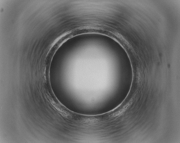 X0000086880830200704231101