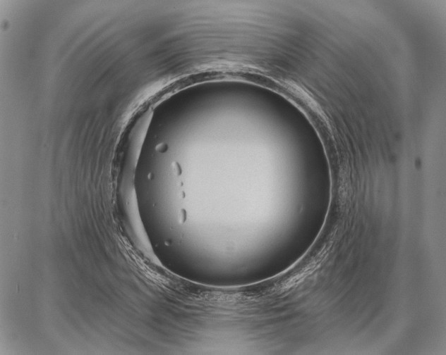 X0000086880831200704231101