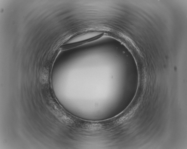 X0000086880833200704231101