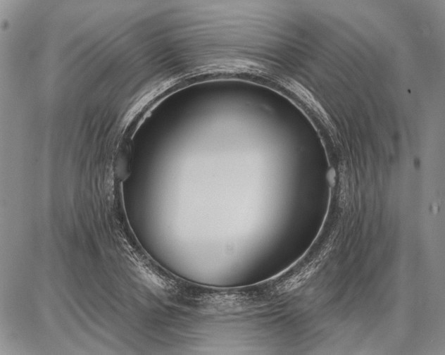 X0000086880834200704231101