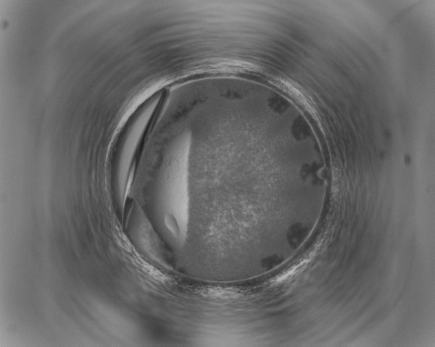 X0000086880835200704231101