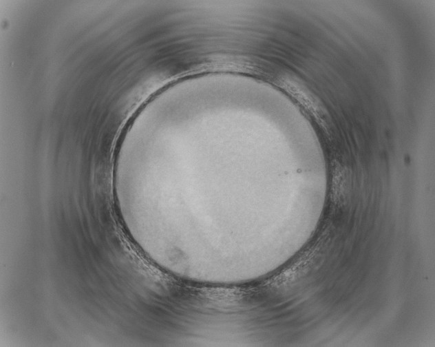 X0000086880836200704231101