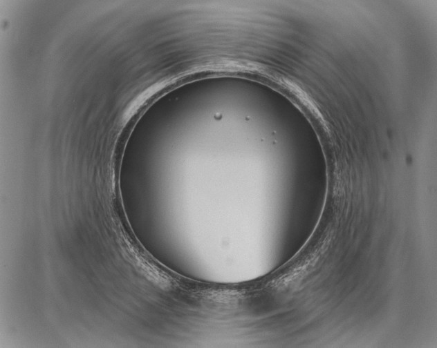 X0000086880837200704231101