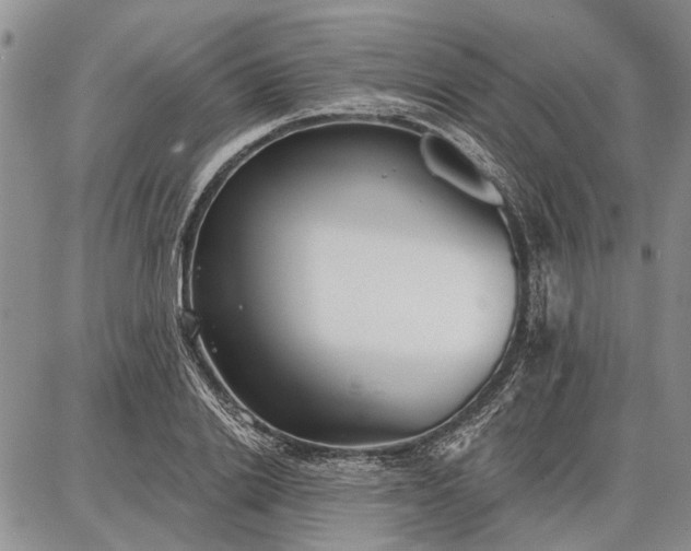 X0000086880838200704231101