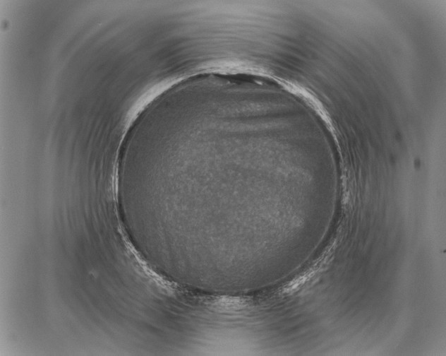 X0000086880839200704231101