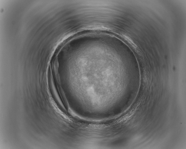 X0000086880840200704231101